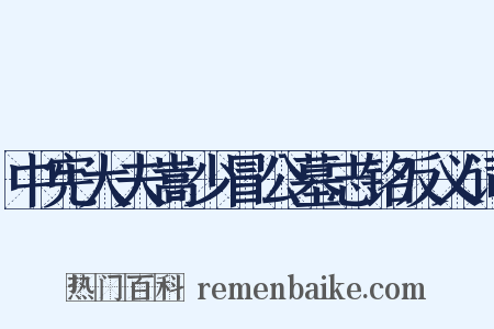 中宪大夫嵩少冒公墓志铭反义词是什么意思的图片